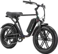 Produktbild: E-Bike Fat Tire California 250 W 20 Zoll