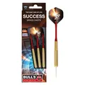 Produktbild: Bull's Success Steel Dart (22 g) (12062)