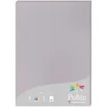 Produktbild: Pollen 10x Packung mit 25 Blatt Pollen A4 210x297 210g/m2 - Koalagrau 24232C