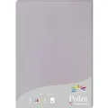 Produktbild: Pollen 10x Packung mit 25 Blatt Pollen A4 210x297 210g/m2 - Koalagrau 24232C