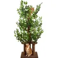 Produktbild: Kratzbaum mit Blättern – Stabiler & Platzsparender Katzenbaum – 4 kratzbare Ebenen & 3 Kratzsäulen – Klettern, Verstecken, Schlafen – Ein...