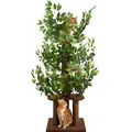 Produktbild: Kratzbaum mit Blättern – Stabiler & Platzsparender Katzenbaum – 4 kratzbare Ebenen & 3 Kratzsäulen – Klettern, Verstecken, Schlafen – Einfache Montage – Haustiersicherer & Langlebiger Cat Tree Natur