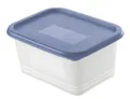 Produktbild: Rotho Gefrierdosen-Set Domino 4 x 0,75 l horizon blau