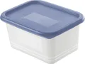 Produktbild: Rotho Gefrierdosen-Set Domino 4 x 0,75 l horizon blau