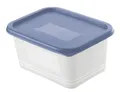 Produktbild: Rotho Gefrierdosen-Set Domino 4 x 0,75 L blau Frischhaltedose Kühlschrankdose