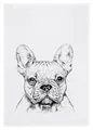 Produktbild: 17,30 Hamburg Geschirrtuch Bulldogge, Grau, (1-tlg), 50x70cm, Siebdruck