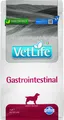 Produktbild: FARMINA Vet Life Gastrointestinal Hund 2 kg Hundefutter