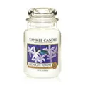 Produktbild: Yankee Candle Midnight Jasmine 623 g