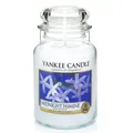Produktbild: Yankee Candle Midnight Jasmine Duftkerze Grosses Glas 623 g