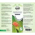 Produktbild: Bellfor Anti-Grasmilben Natürliches Spray für Hunde