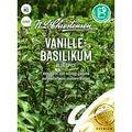 Produktbild: Vanille-Basilikum Blue Spice, Basilikum Samen direkt vom Hersteller, Saatgut ca. 400 Pflanzen