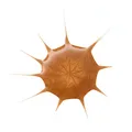 Produktbild: Bronzing Drops 25ml essence DROP OF sunshine vegan ölfrei braun pflegend