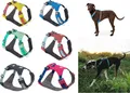 Produktbild: Ruffwear Hi & Light Geschirr, Farbe:Salmon Pink, Größe:L / XL