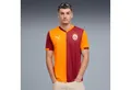 Produktbild: PUMA Fußballtrikot GSK HOME JERSEY REPLICA W/O SPONSOR WITH STAR Fußball, Trikot, Kurzarm, Regular Fit, mit DryCELL-Technologie