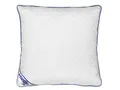 Produktbild: Irisette Body Contour Kopfkissen 80x80 cm mit abnehmbarem Bezug aus Softer Microfaser, waschbar bis 60°C, weiß/blau, Öko-Tex Zertifiziert, produziert nach deutschem Qualitätsstandard