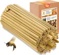 Produktbild: BEESI 500x Bambusgras für Insektenhotel I 14 cm Länge I 3-7mm  I Füllmaterial Bienenhotel, Wildbienen Nistmaterial
