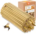 Produktbild: BEESI 500x Bambusgras für Insektenhotel I 14 cm Länge I 3-7mm ⌀ I Füllmaterial Bienenhotel, Wildbienen Nistmaterial