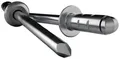 Produktbild: Gesipa 1433831 Blindniete (Ø x L) 4.8mm x 10mm Stahl Aluminium 500St.