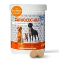 Produktbild: NutriLabs Canicox-HD Gelenktabletten für Hunde 140 Stk. - mit MSM, Chondroitin, Hyaluronsäure, Glucosamin & Teufelskralle - Gesundheitsprodukte für Hunde - Nahrungsergänzungsmittel Hund