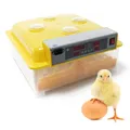 Produktbild: Automatische Brutmaschine 48 Eier Flächenbrüter Inkubator 4 Sichtfenster