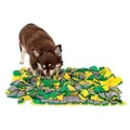 Produktbild: lionto Schnüffelteppich für Hunde, Intelligenzspielzeug & Futterspielmatte, rutschfest & pflegeleicht, 50x34 cm, gelb/grün
