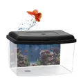 Produktbild: GarPet Mini Aquarium Terrarium Faunarium Zucht Becken klein Fisch Triops Garnelen Acryl Kunststoff Plastik mit Deckel Rückwandfolie