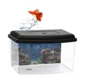 Produktbild: GarPet Aquarium Mini Aquarium Terrarium Zucht Becken Fisch Triops Garnelen Kunststoff