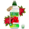 Produktbild: Purgrün® Weihnachtsstern-Dünger 1 Liter – Für intensiv leuchtende Hochblätter – Extra Kalium fördert die Widerstandskraft – Ergiebiges Konzentrat für 200 Liter Gießwasser – Premium-Flüssigdünger