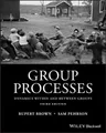 Produktbild: Rupert Brown Samuel Pehrson Group Processes (Taschenbuch)