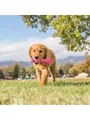 Produktbild: KONG Hundespielzeug Wubba Puppy 21cm