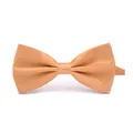 Produktbild: Boolavard klassische Hochzeit Bowtie Krawatte Fliege Neuheit Tuxedo Fashion einstellbar (Champagner)