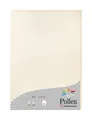 Produktbild: 24386C Packung mit 25 Blatt Pollen DIN A4 210 x 297 mm 210g Perlmutt Elfenbein
