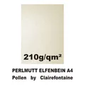 Produktbild: 50 Blatt A4 Perlmutt Elfenbein Metallic 210 gramm Karton Pollen Clairefontaine