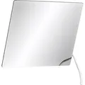Produktbild: Delabie Kippspiegel m. Hebel 600x500 mm Nylon weiß