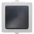 Produktbild: Kopp - Feuchtraum Aus-/Wechselschalter Nautic, grau, 565656001