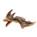 Produktbild: Plüschdino Pteranodon mit Band 44 cm braun