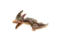 Produktbild: Cornelißen Kuscheltier Plüschdino Pteranodon mit Band 44 cm braun