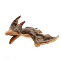 Produktbild: Plüschdino Pteranodon mit Band 44 cm braun