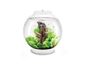 Produktbild: biOrb 72007 CLASSIC 30 LED, 30 L, weiß - Acryl-Aquarium in Kugelform, Komplett-Set mit patentiertem Filtersystem, LED-Beleuchtung