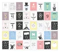 Produktbild: 40 Baby Meilenstein-Karten für das 1. Lebensjahr für Mädchen und Junge. Baby Milestone Cards deutsch, zur Erinnerung der Entwicklung der ersten ... Geburt, Schwangerschaft, Taufe oder Baby Shower