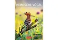 Produktbild: Harenberg Kalender Verlag Wandkalender Heimische Vögel Wochenplaner 2026 - 53 faszinierende Fotografien
