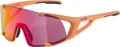 Produktbild: Alpina Sports Sonnenbrille Alpina Hawkeye S Q-Lite Sonnenbrille