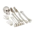 Produktbild: Dekoknochen für halloween Skelett Deko Set Horror Dekoration 12 Teile Kunststoff