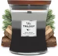 Produktbild: YANKEE CANDLE WoodWick Trilogy WarmWoods Duftkerze Mittel Glas Pluswick
