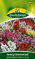 Produktbild: Zwerg-Löwenmaul Samen Wunderteppich Blumen Blumensamen Mischung bunt Löwenmaul