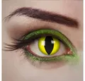 Produktbild: aricona Farblinsen Gelbe Kontaktlinsen Wildcat - Farbige Halloween-Linsen, Ohne Stärke, 2 Stück