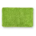 Produktbild: WohnDirect Hochflor, Grün, Textil, 60x100 cm, Oeko-Tex® Standard 100, Badtextilien, Badematten