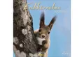 Produktbild: Korsch Verlag Wandkalender Eichhörnchen 2026