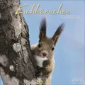 Produktbild: Eichhörnchen 2026