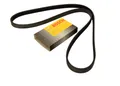 Produktbild: Bosch 1987947841 Keilrippenriemen